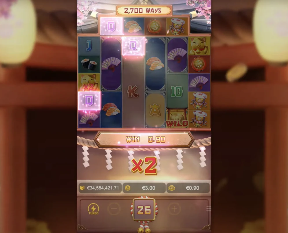 Lucky Neko
